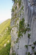 Pogled na predzadnji navrtan raztežaj